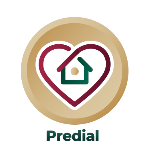 DIRECCIÓN DE CATASTRO E IMPUESTO PREDIAL